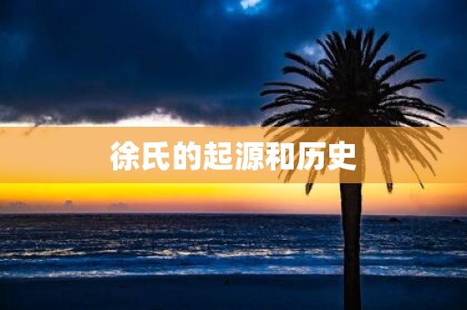 徐氏的起源和历史