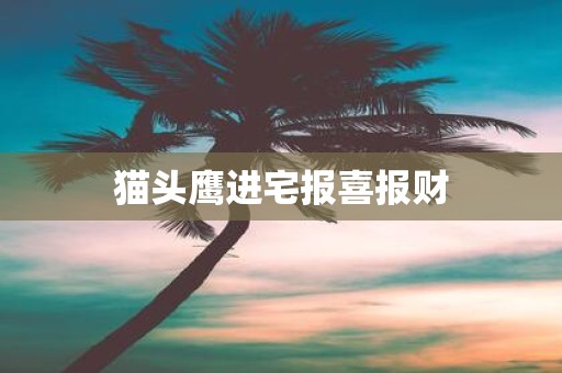 猫头鹰进宅报喜报财