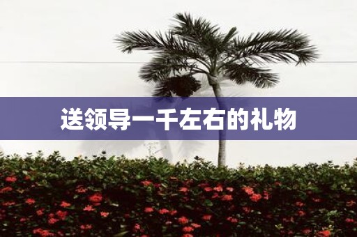 送领导一千左右的礼物