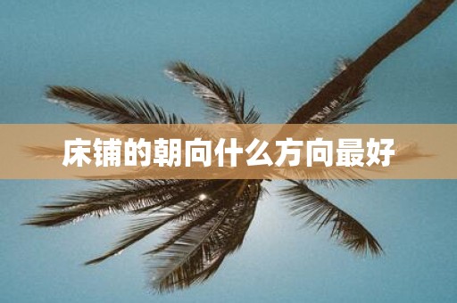 床铺的朝向什么方向最好