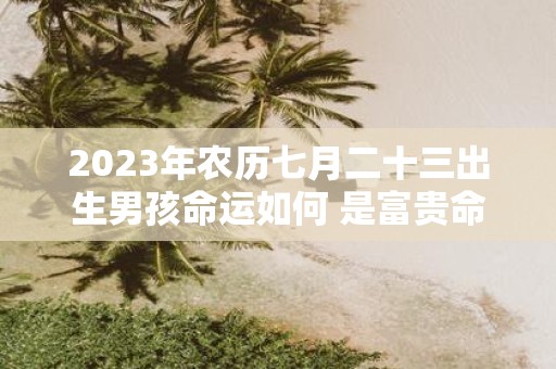 2025年农历七月二十三出生男孩命运如何 是富贵命吗