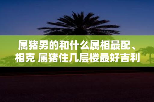 属猪男的和什么属相最配、相克 属猪住几层楼最好吉利