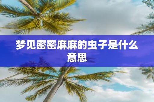 梦见密密麻麻的虫子是什么意思