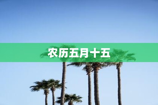 农历五月十五