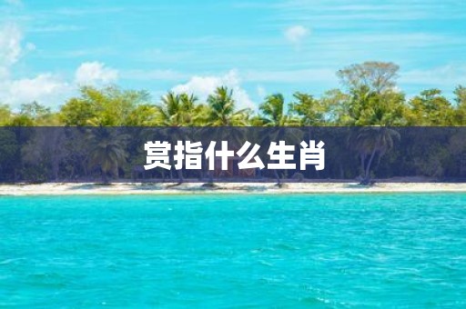 赏指什么生肖