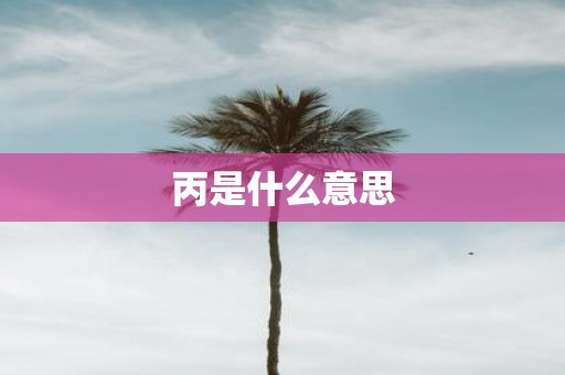丙是什么意思