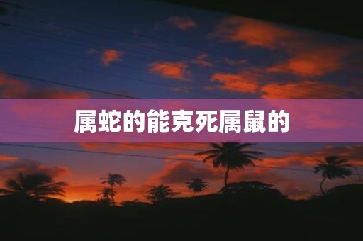 属蛇的能克死属鼠的