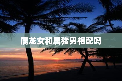 属龙女和属猪男相配吗