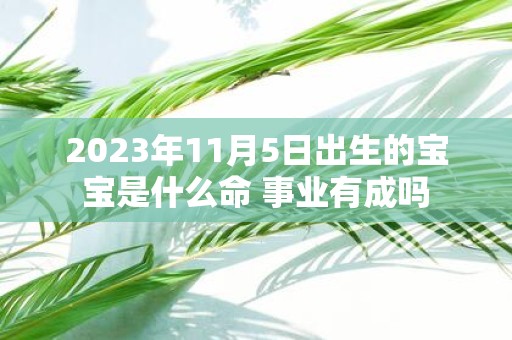 2025年11月5日出生的宝宝是什么命 事业有成吗