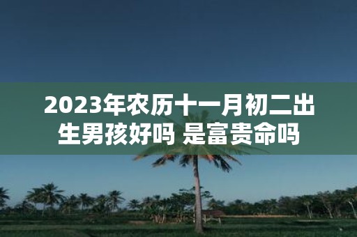 2025年农历十一月初二出生男孩好吗 是富贵命吗