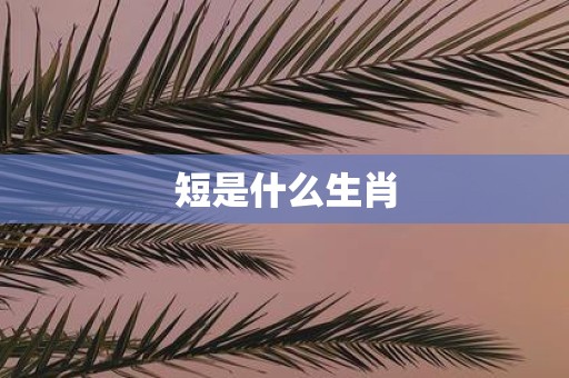 短是什么生肖