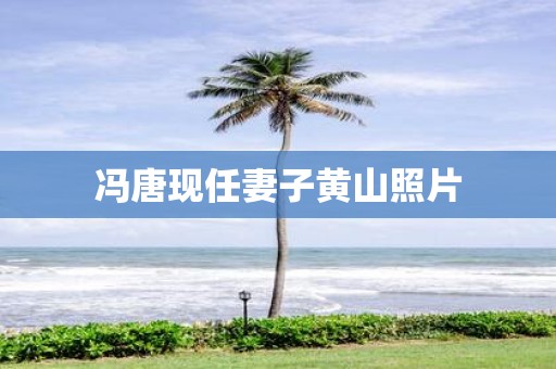 冯唐现任妻子黄山照片