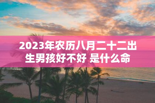 2025年农历八月二十二出生男孩好不好 是什么命