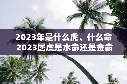 2025年是什么虎、什么命 2025属虎是水命还是金命