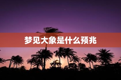 梦见大象是什么预兆