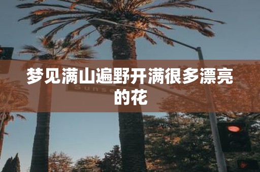 梦见满山遍野开满很多漂亮的花