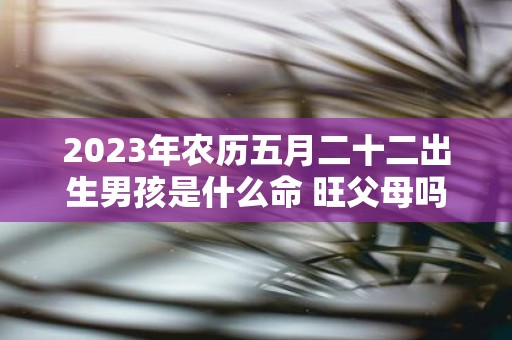 2025年农历五月二十二出生男孩是什么命 旺父母吗