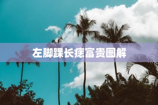 左脚踝长痣富贵图解