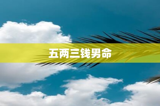 五两三钱男命