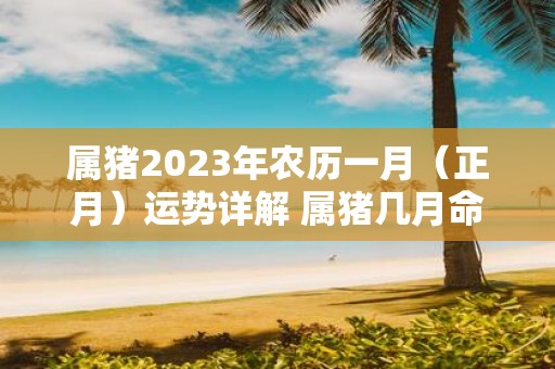属猪2025年农历一月（正月）运势详解 属猪几月命苦