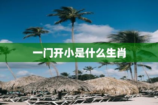 一门开小是什么生肖