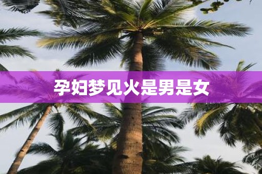 孕妇梦见火是男是女