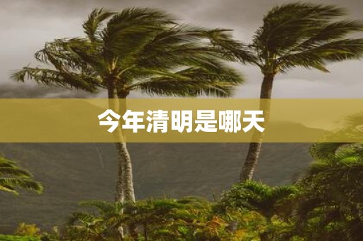 今年清明是哪天