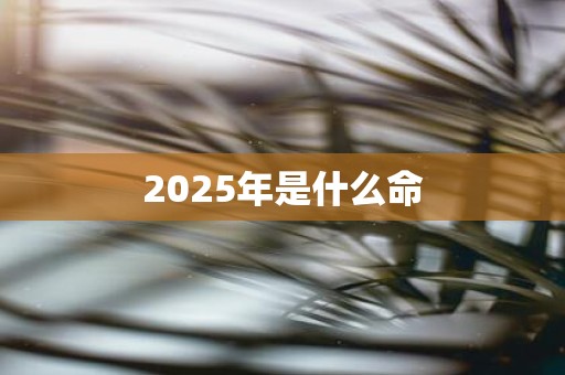 2025年是什么命