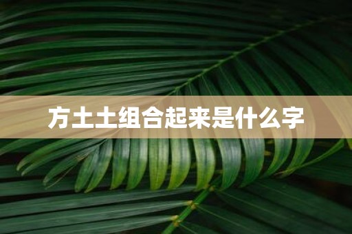 方土土组合起来是什么字