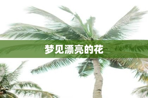 梦见漂亮的花