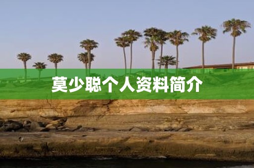 莫少聪个人资料简介