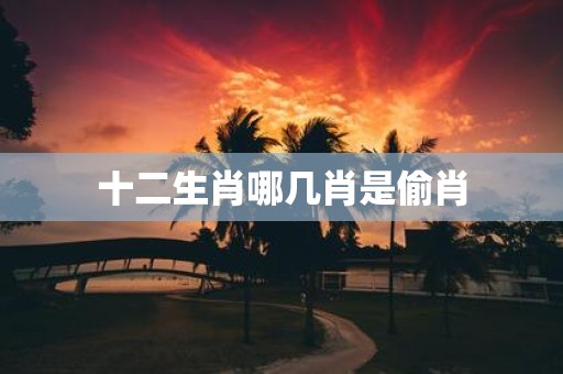 十二生肖哪几肖是偷肖