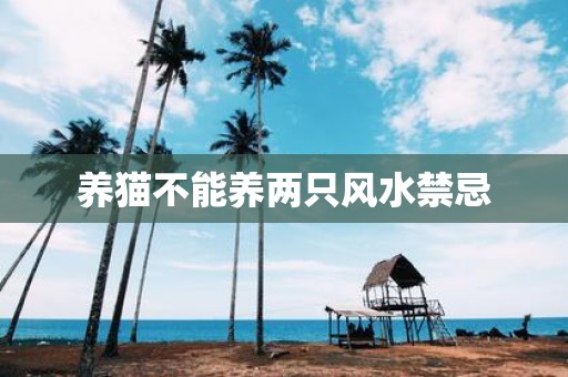 养猫不能养两只风水禁忌