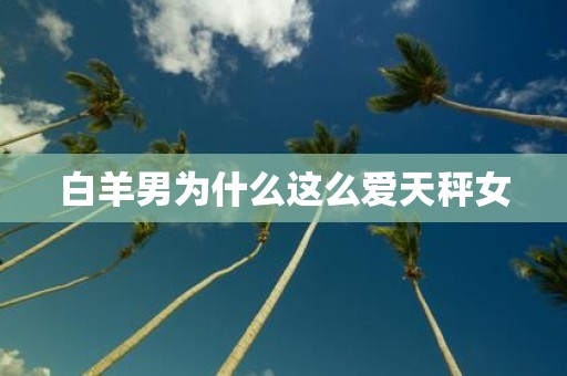 白羊男为什么这么爱天秤女