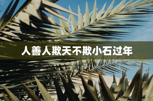 人善人欺天不欺小石过年