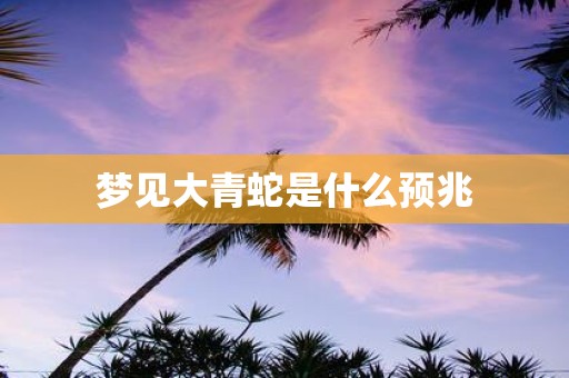 梦见大青蛇是什么预兆