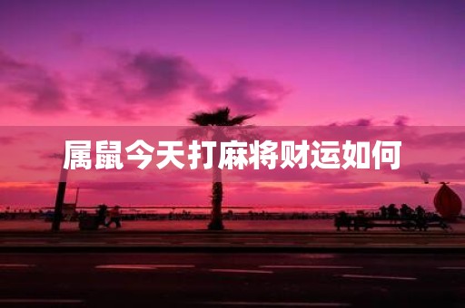 属鼠今天打麻将财运如何