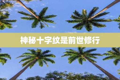 神秘十字纹是前世修行