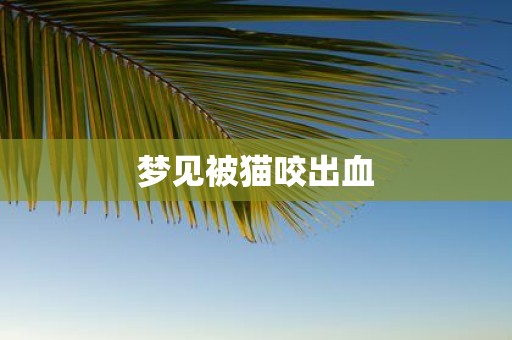 梦见被猫咬出血