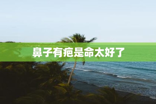 鼻子有疤是命太好了