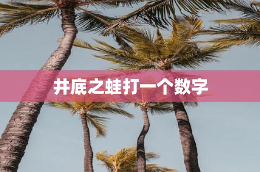 井底之蛙打一个数字