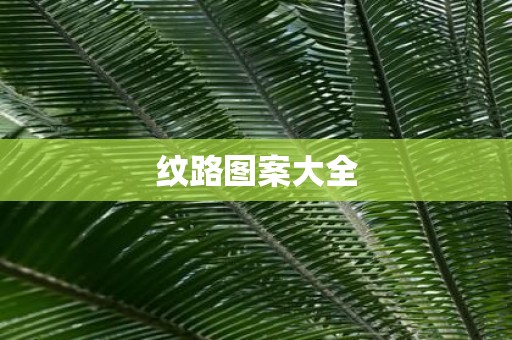 纹路图案大全