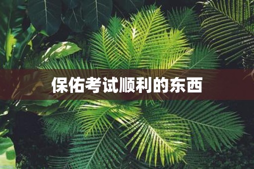 保佑考试顺利的东西