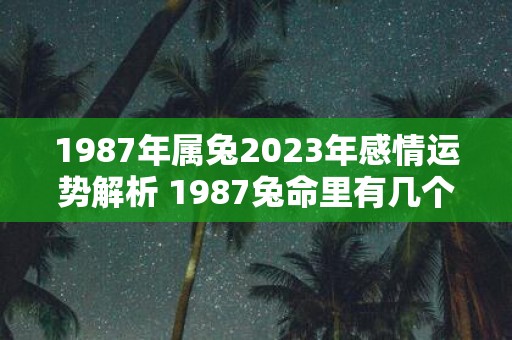 1987年属兔2025年感情运势解析 1987兔命里有几个孩子