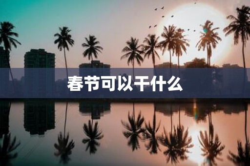 春节可以干什么