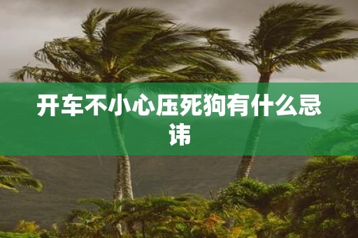 开车不小心压死狗有什么忌讳