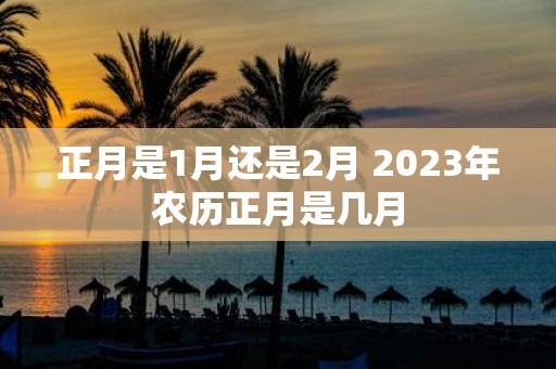 正月是1月还是2月 2025年农历正月是几月