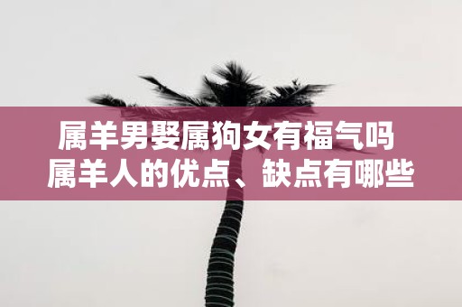 属羊男娶属狗女有福气吗 属羊人的优点、缺点有哪些呢