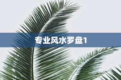 专业风水罗盘1