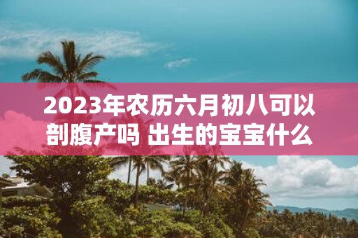 2025年农历六月初八可以剖腹产吗 出生的宝宝什么命